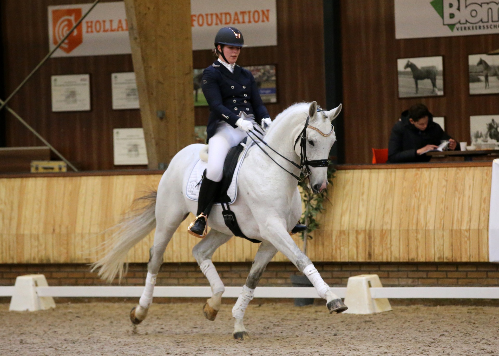 Hengstenshow Ermelo 